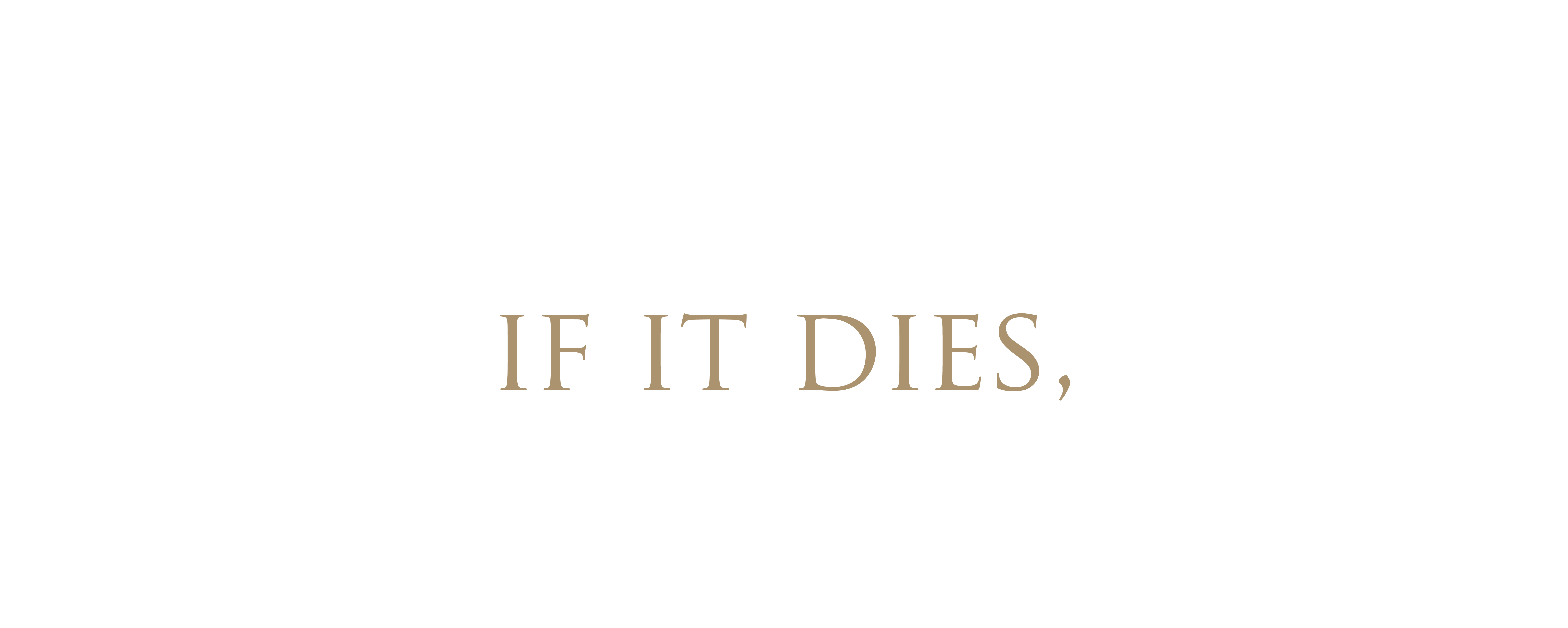 JOHN 12_24